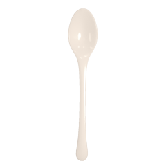 VSP4.5 RCPLA BULK NL 2000ct TASTER SPOON