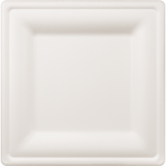10" Square Plate Bagasse 500ct