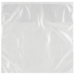 8.5X8.5In Regular Deli Bag 2000/cs
