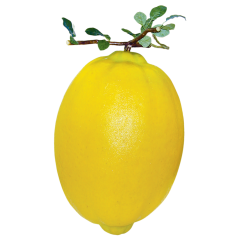 Jumbo-Sized Foam Lemon Decoration