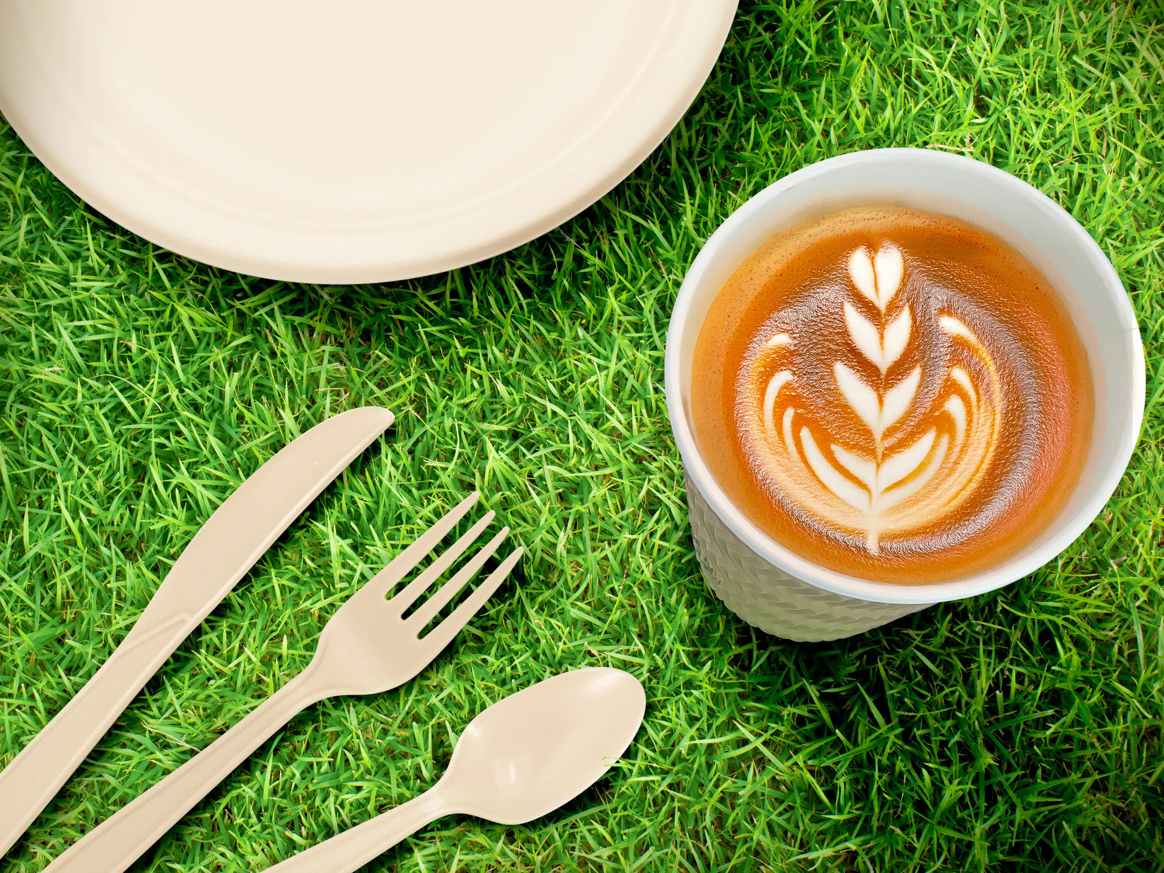 Environ Earth Friendly Alternatives To Traditional Disposable Food Service Products