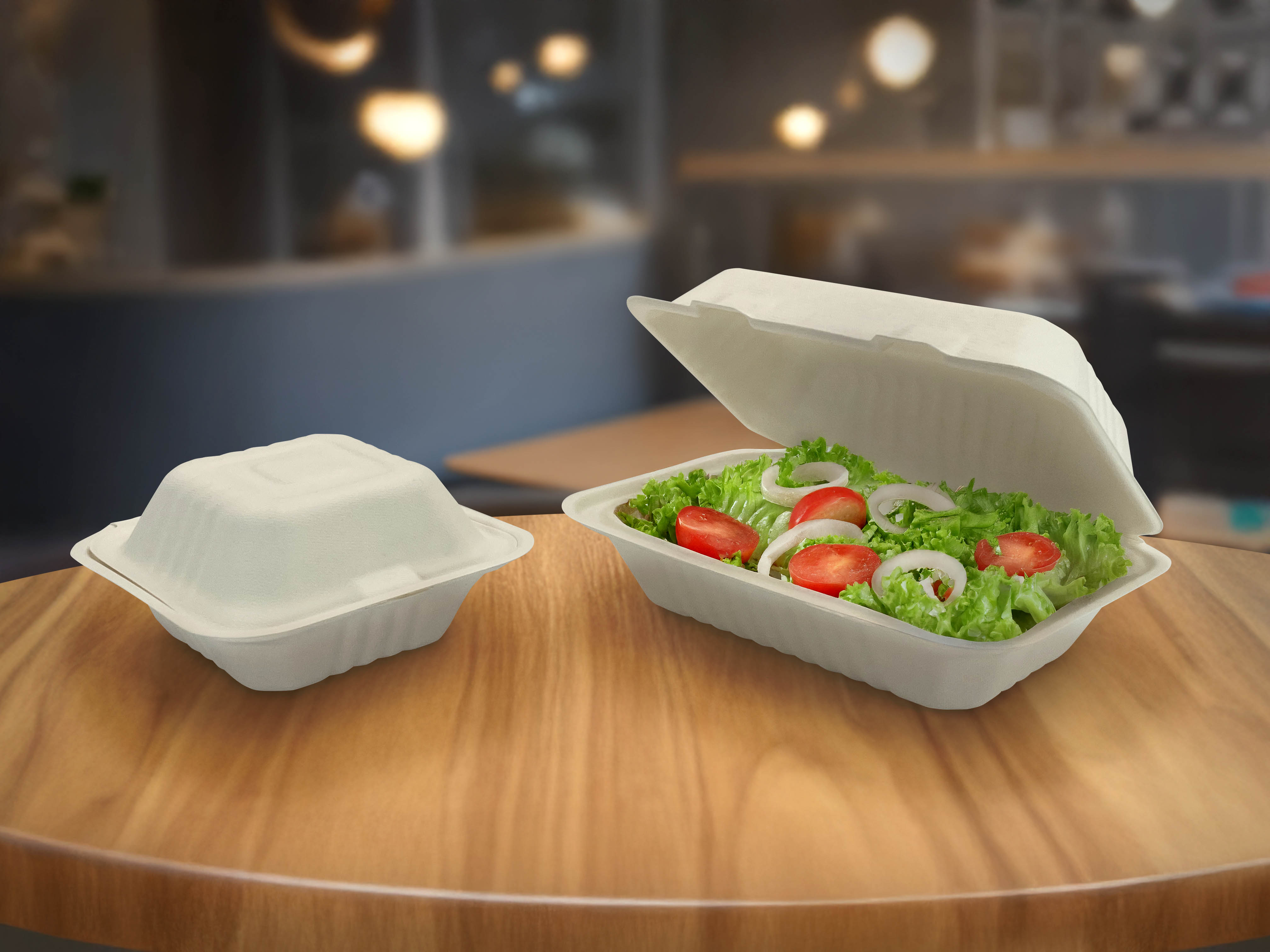 Environ earth-friendly foodservice containers