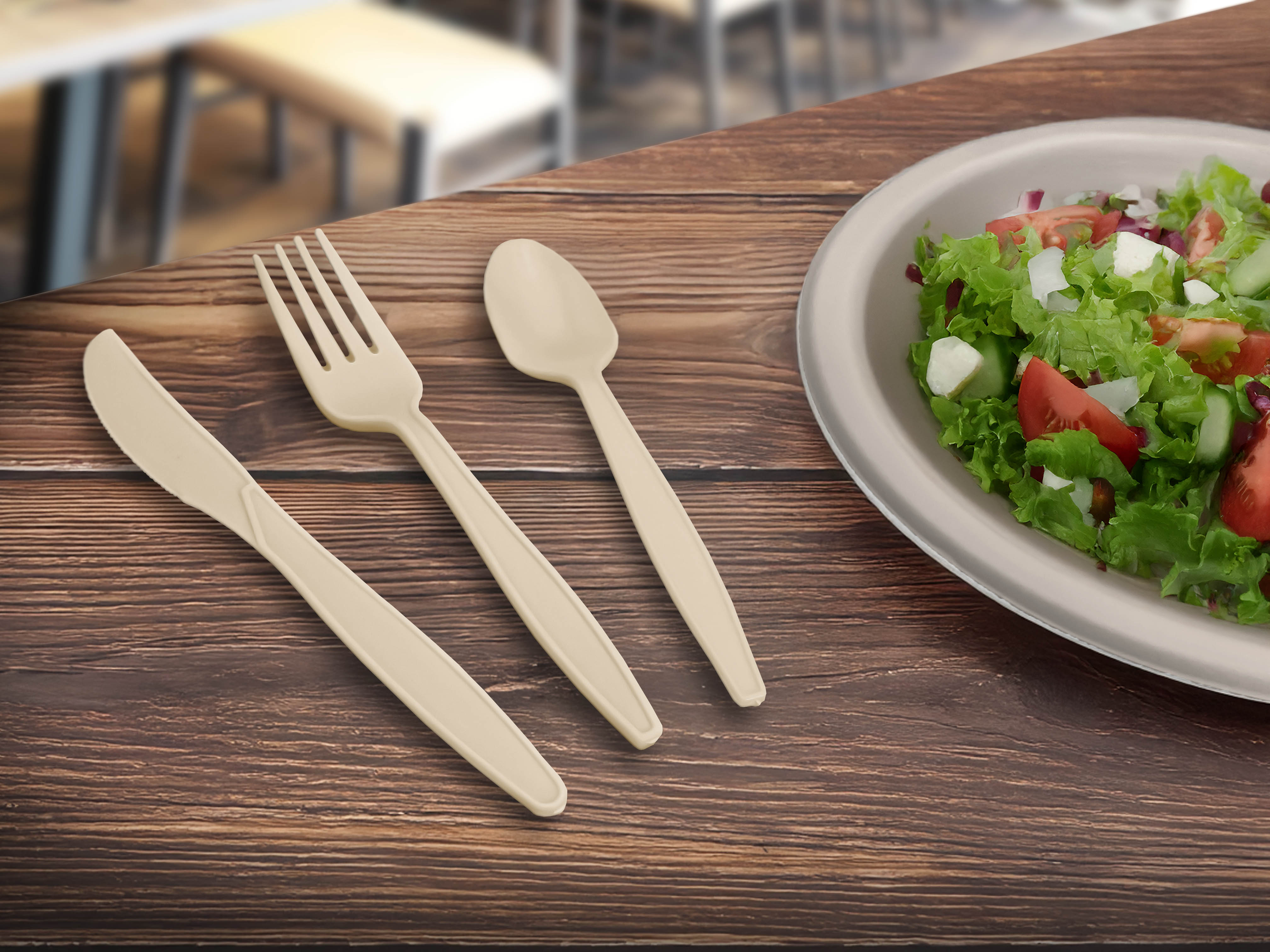 Environ Earth-Friendly Disposable Cutlery