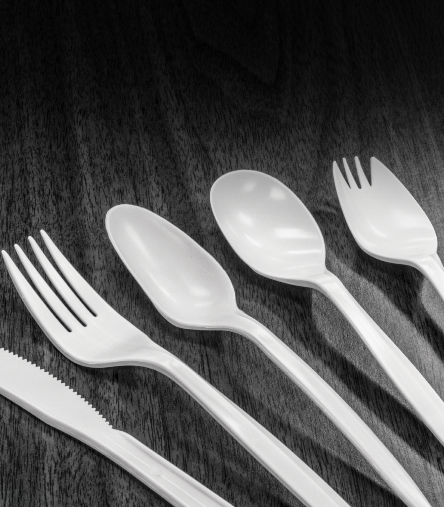 Berk Enterprises Food Services Product Berkley Square and Environ Brand Food Service Products