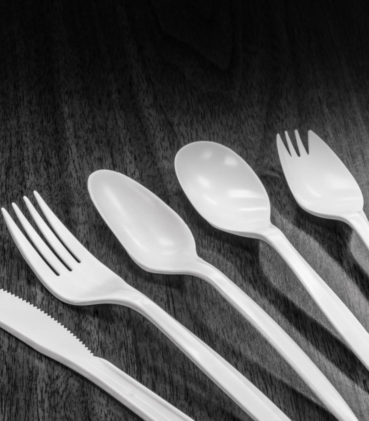 Berk Enterprises Food Services Product Berkley Square and Environ Brand Food Service Products